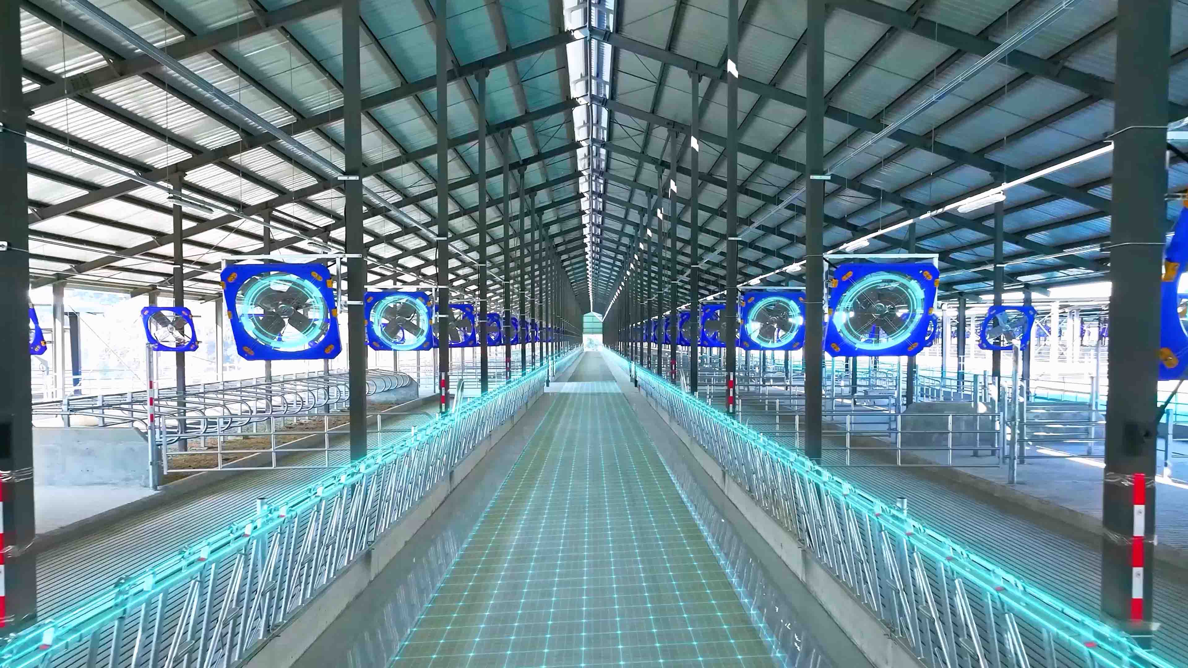 Creation of a Favorable Husbandry Environment