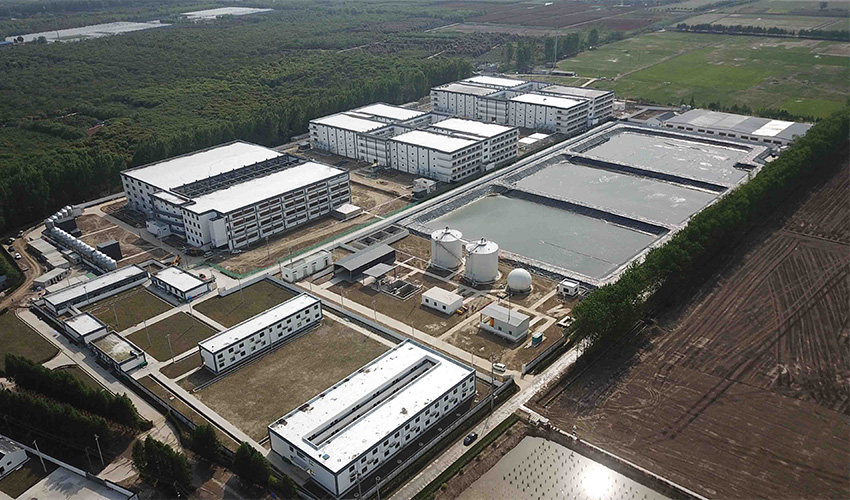 Jiangsu Changzhou Building Pig Farm Project