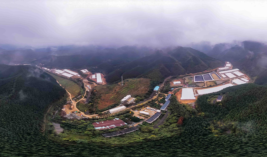 Jiangxi Dayu Pig Farm Project