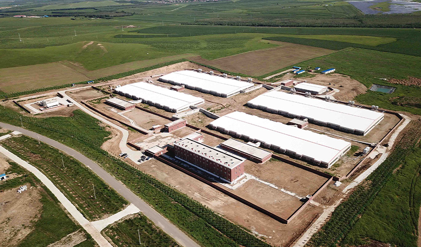 Inner Mongolia Keyouqianqi Breeding Project