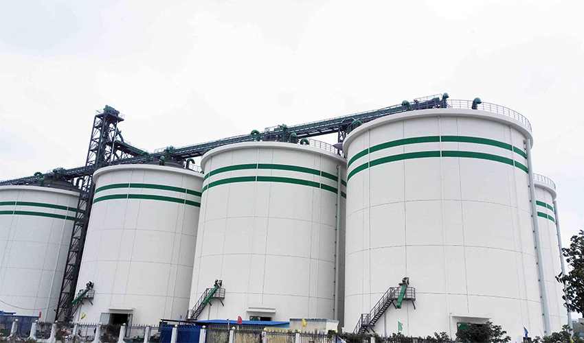 Hubei Wuhan Flat-Bottom Silo Project