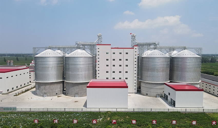 Henan Zhumadian Warehouse Project