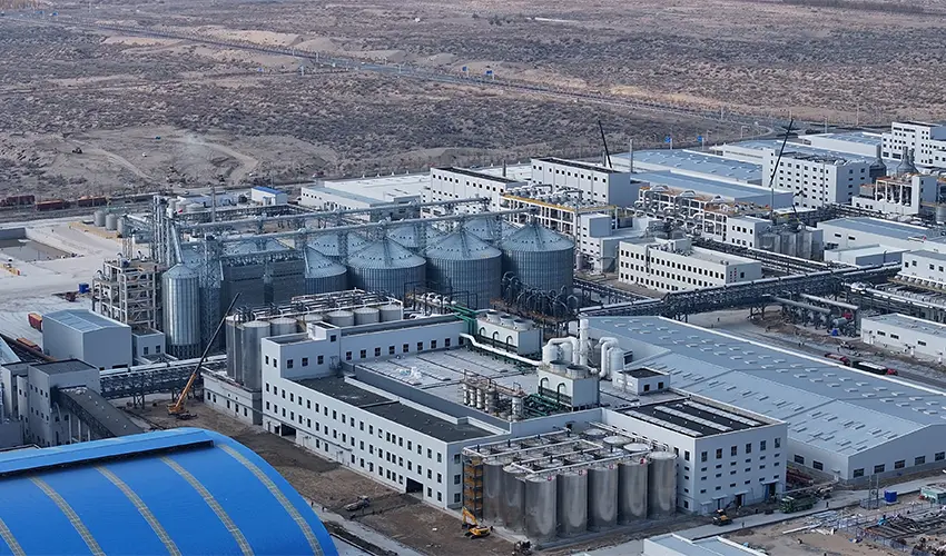 Jinhai Biology Deep Processing Project