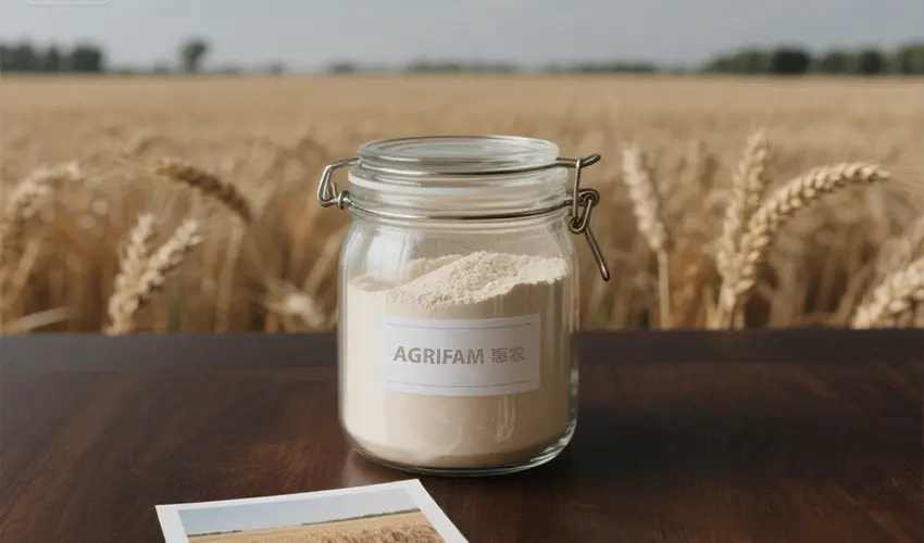 Fermented Protein: Scaling Soybean & Grain Plant Production